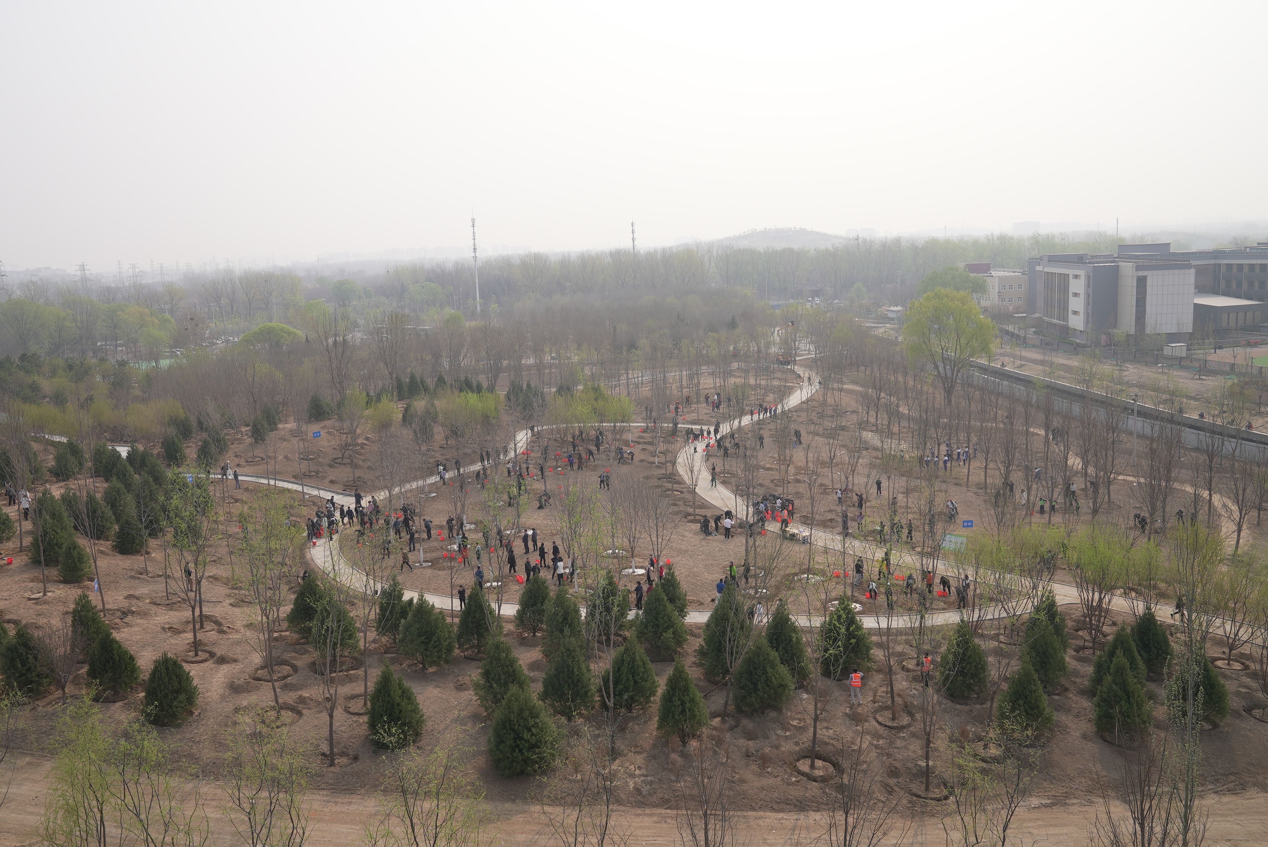 為北京城南綠肺添新綠!豐臺350餘人南苑森林溼地公園義務植樹