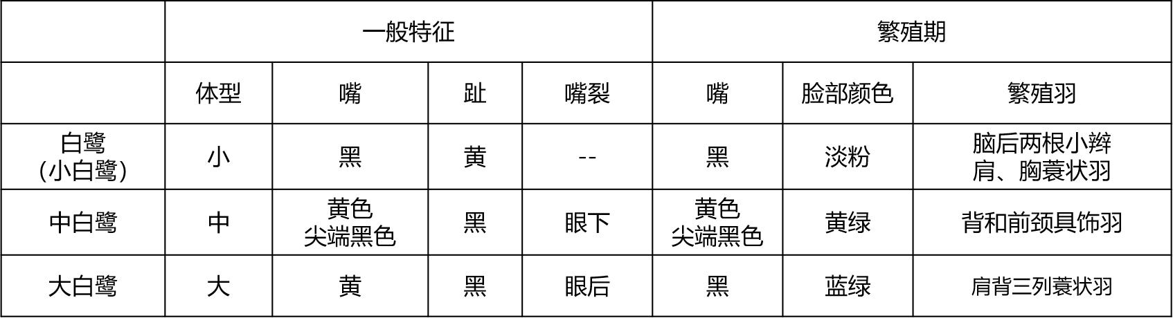 东江揽胜：天天相见不相识，和我一起认识鹭科鸟的分类与识别方法