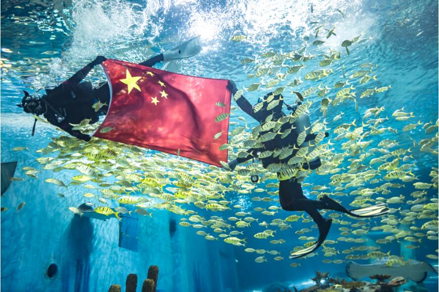 海昌海洋公园：国庆7天迎80万人次，衍生消费及自营收入突破历史峰值”