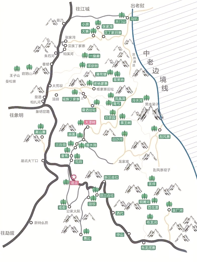 易武古茶山的神秘与韵味:探寻十五个山头的独特魅力