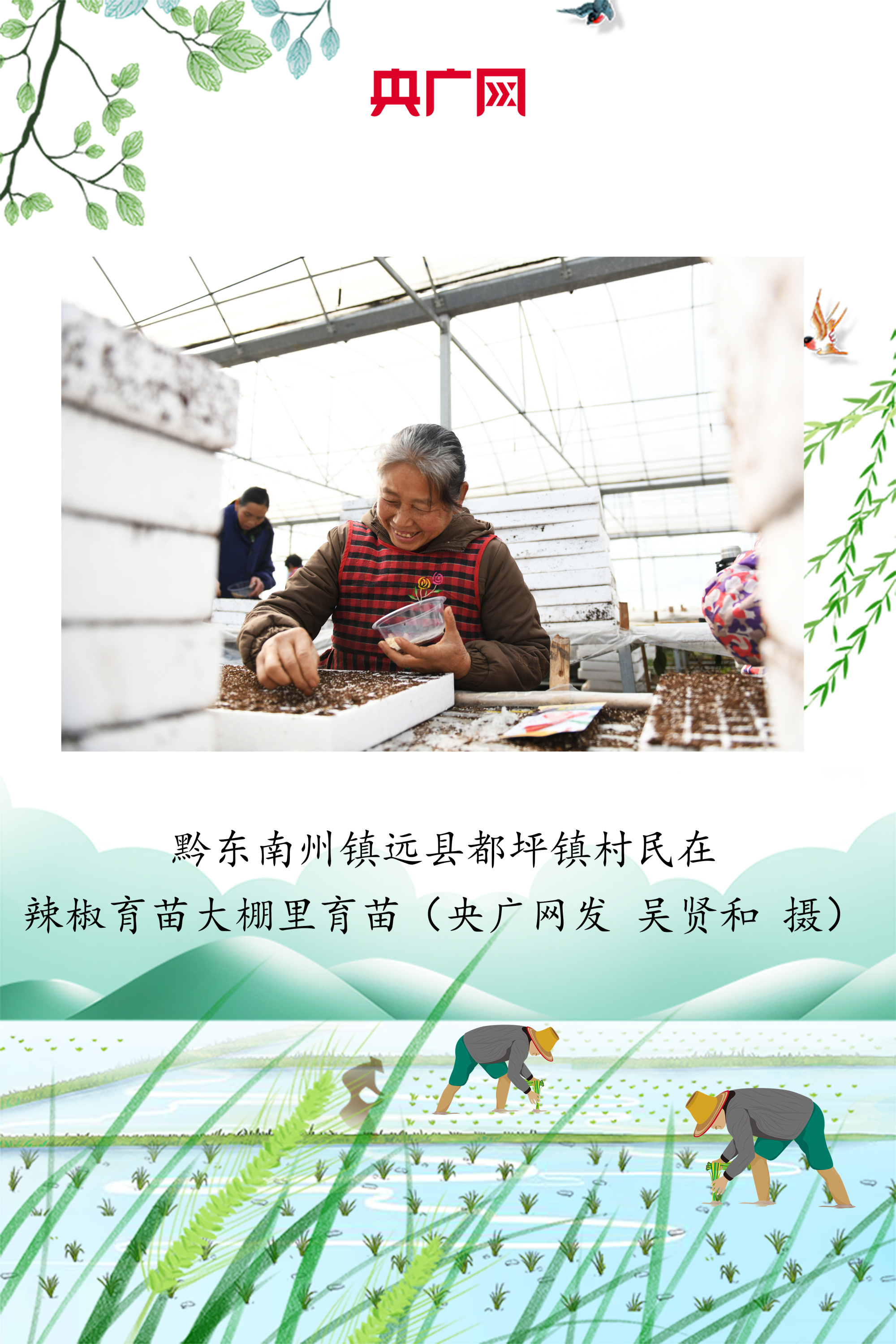 贵州绘好春耕图 孕育丰收景