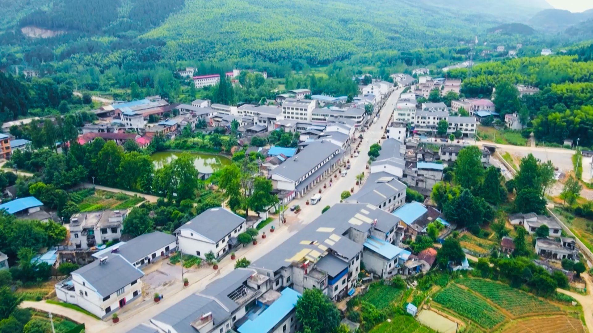 比学赶超!崇阳县桂花泉镇开展农村人居环境整治拉练检查