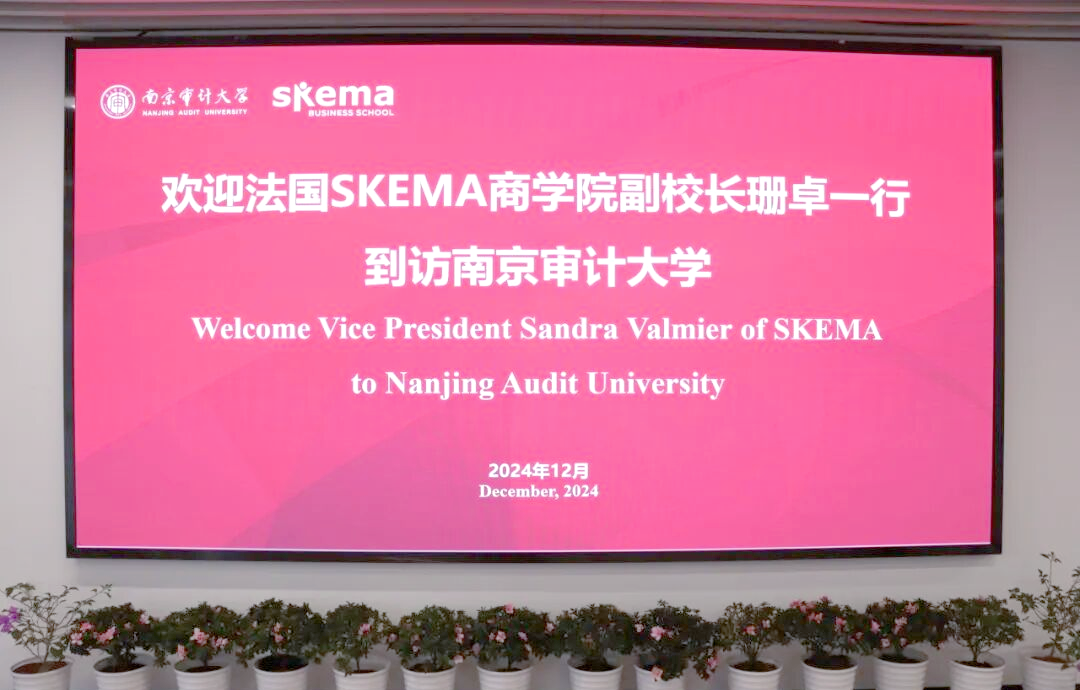 skema商学院活动解析:深度讲座与职业规划
