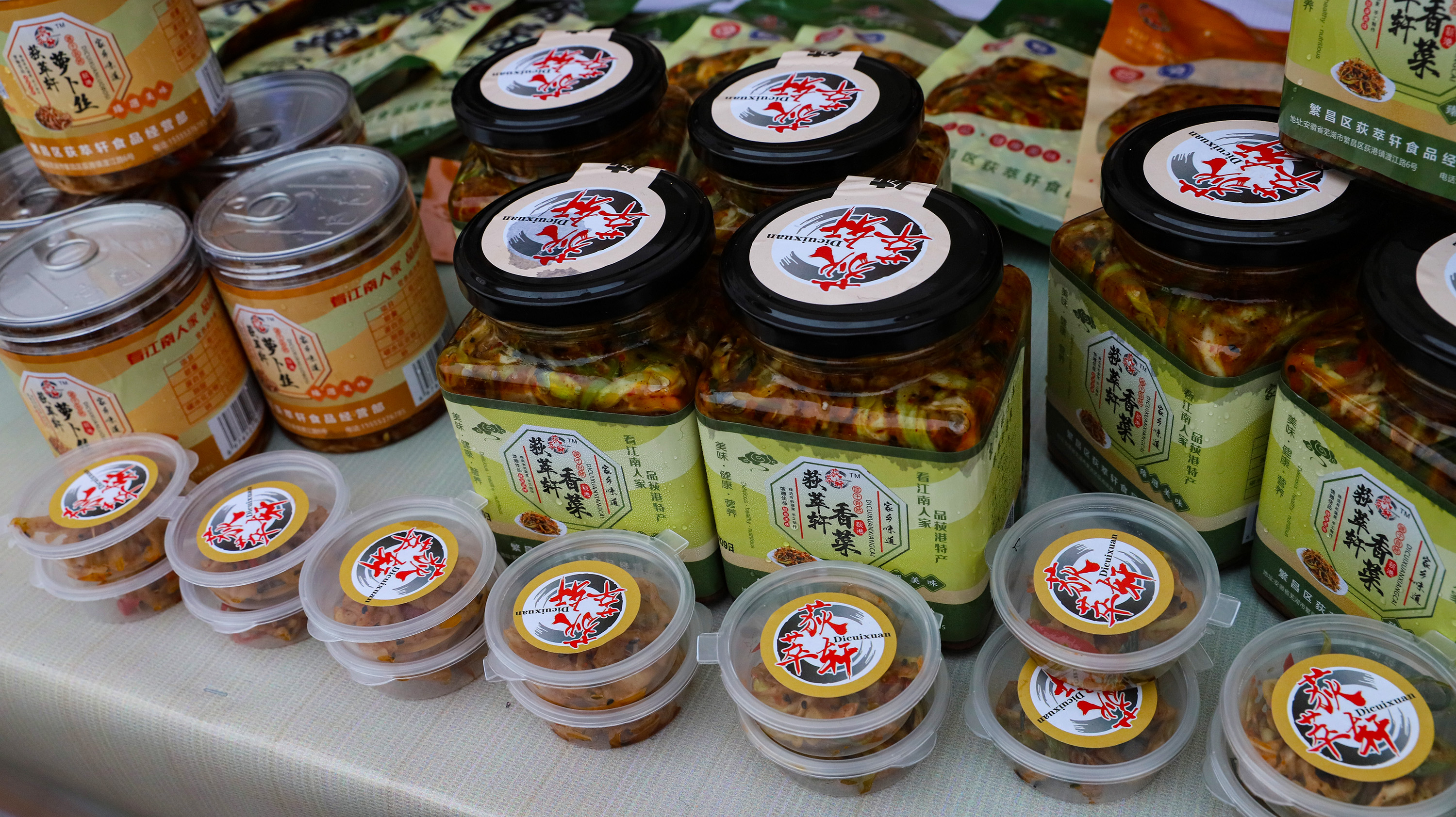 繁昌区第二届荻港香菜文化节开幕