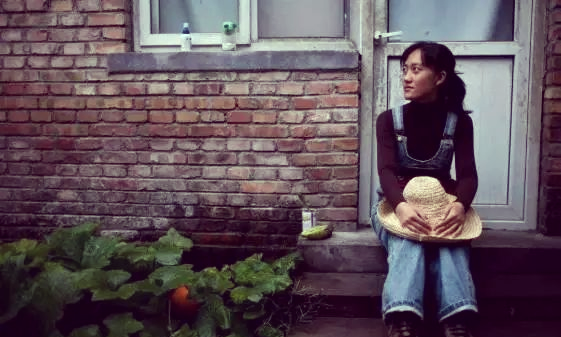 从城市精英到乡村领袖:石嫣的逆袭之路