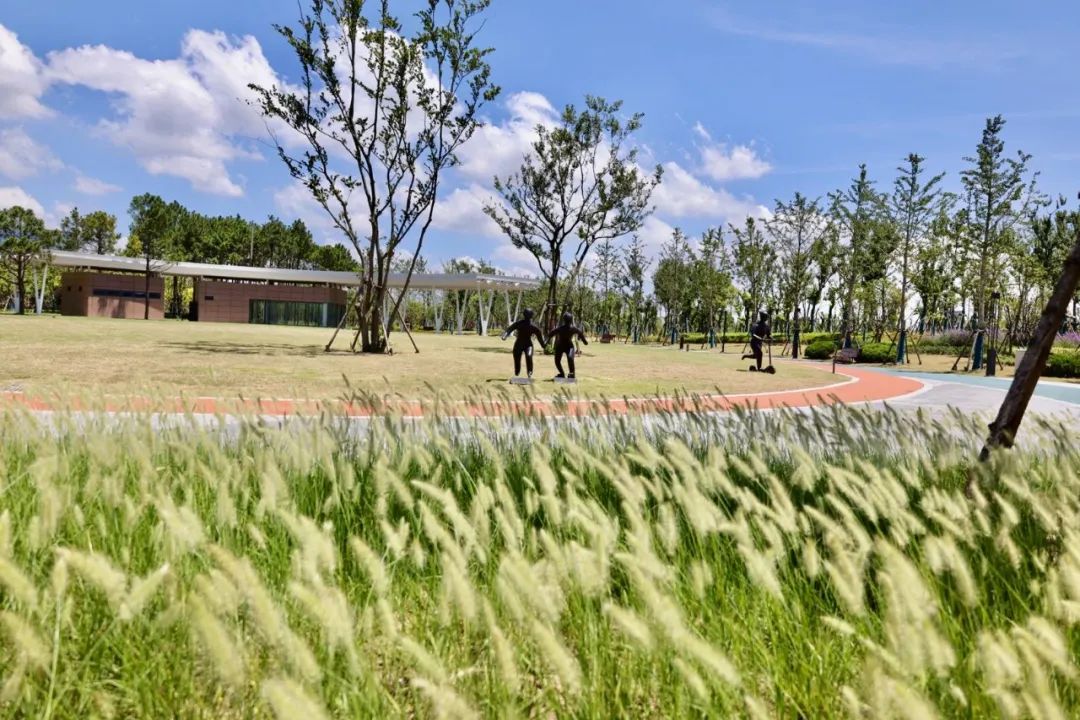 「探索」临港,金山这两处绿地公园全新亮相