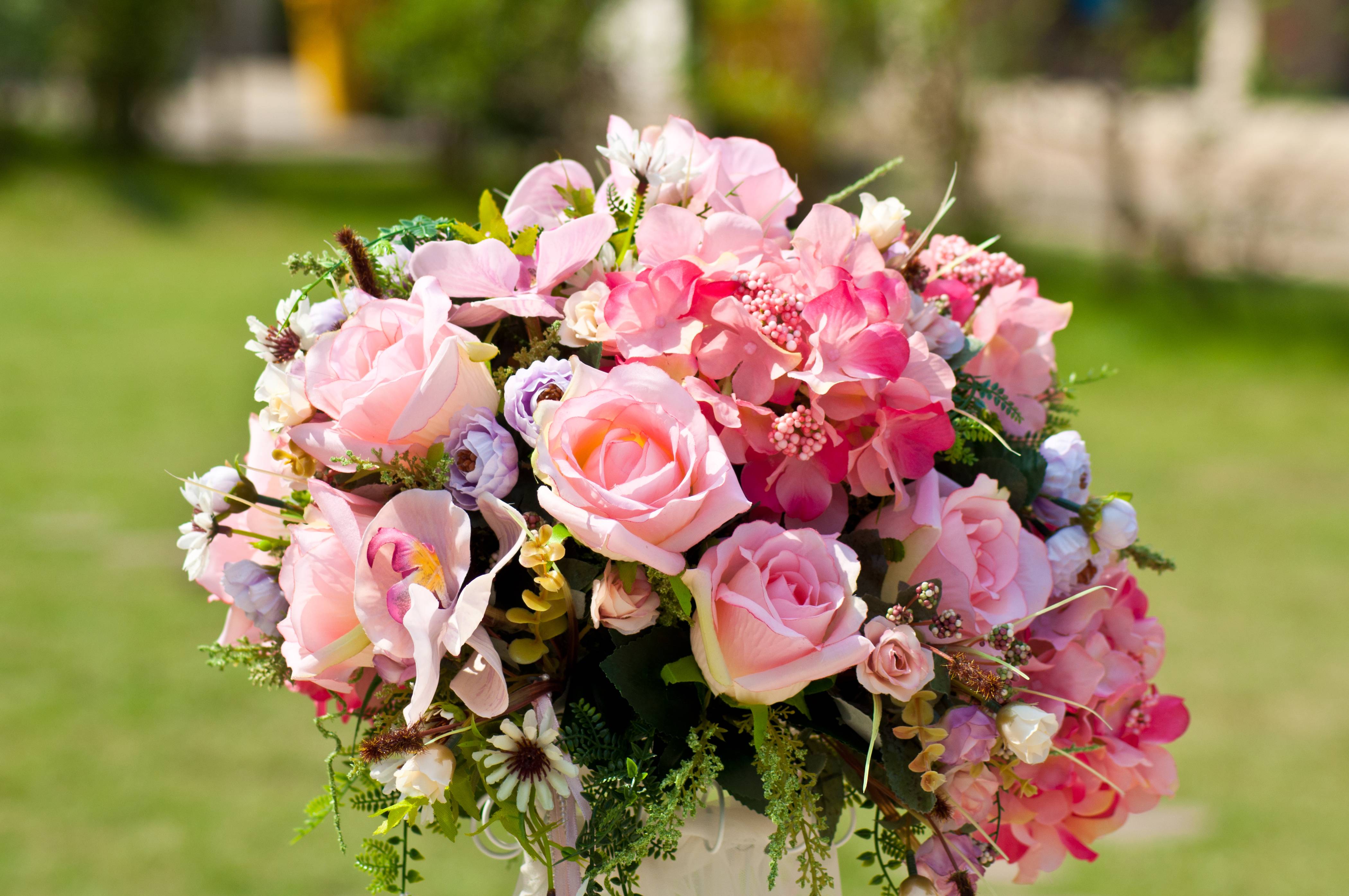 早安正能量,早上好,愿每一个美好的小惊喜都被你渐渐发现