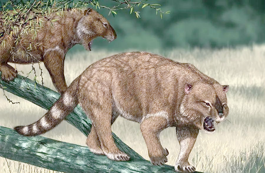 其中之一便是被誉为"澳洲一哥"的澳洲魔龙古巨蜥,它曾是这片土地上的