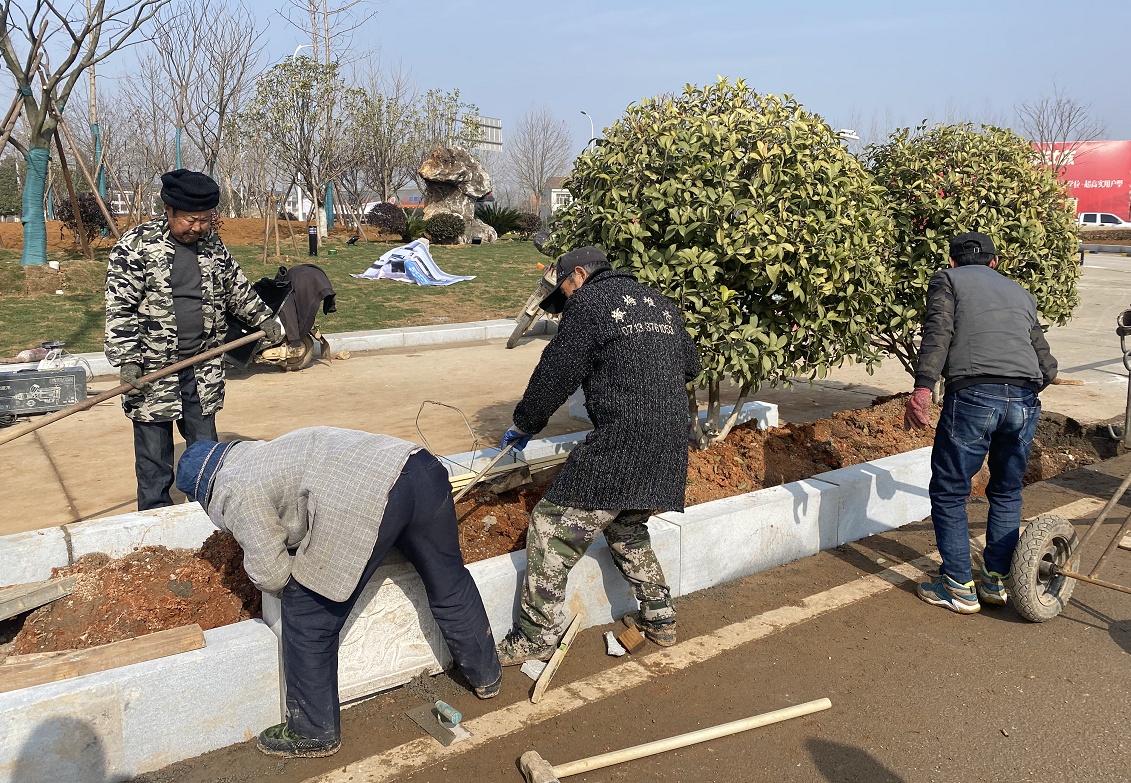 园林绿化中心植绿补绿迎新春