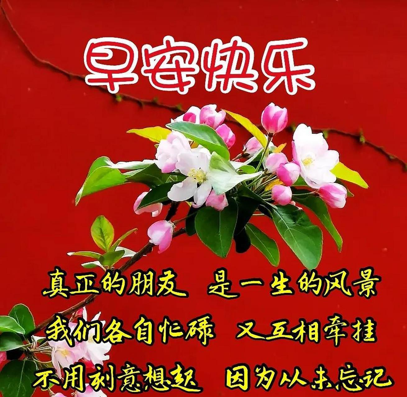 早上好!