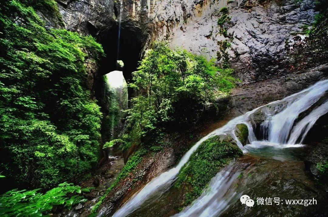 十一去哪玩兒!鹿門寺國家森林公園等您來打卡