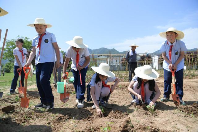 曲江新区首批中小学生劳动实践教育基地授牌 小学生们农博园内学耕种