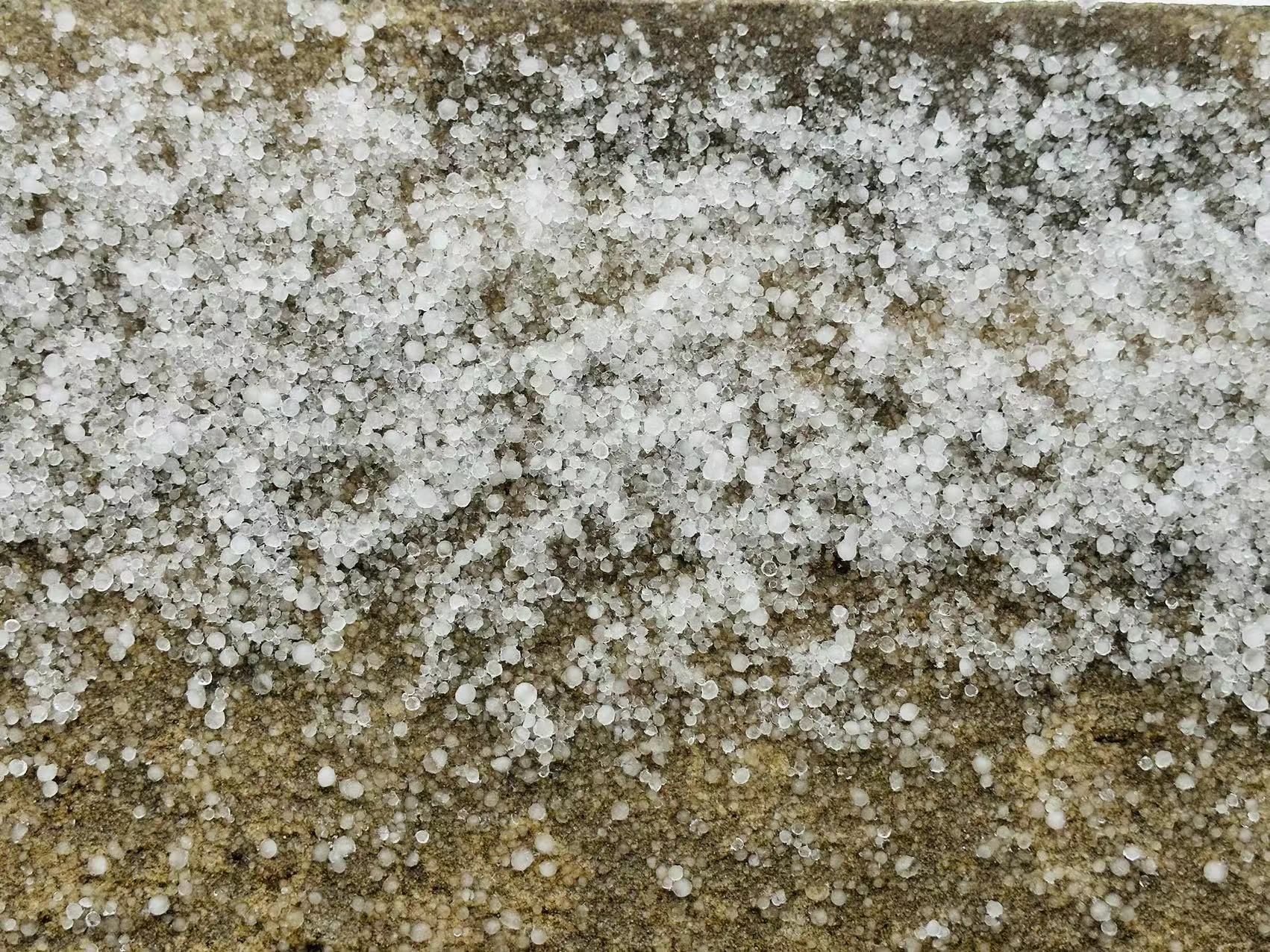 洛阳现"雷打雪"是啥原因?气象专家权威解答