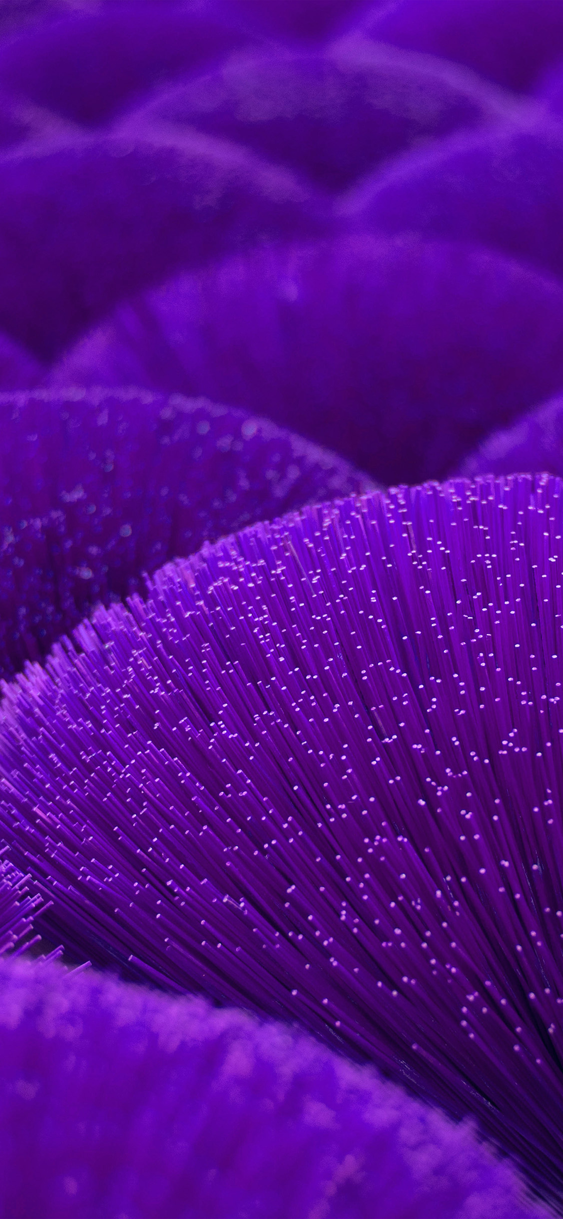 1125_2436竖版 竖屏