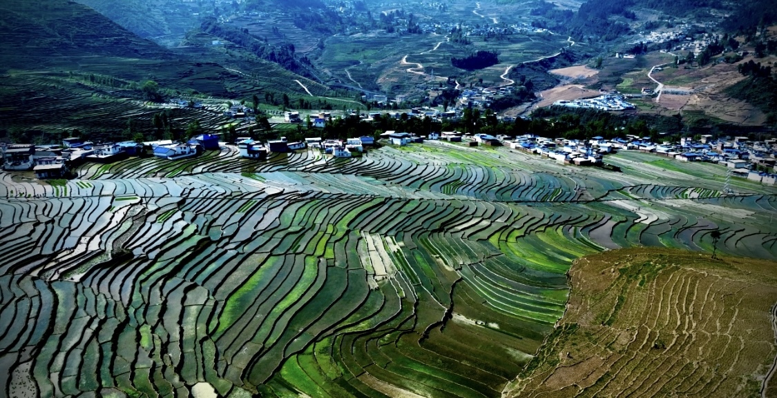 凉山甘洛万亩梯田绿意盎然