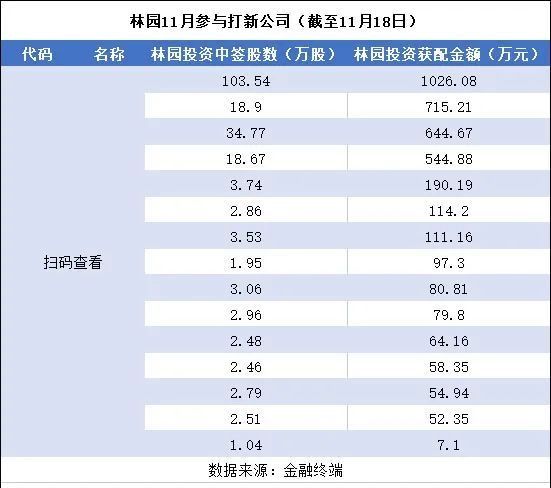 林園但斌罕見現身!搶籌新股調轉換倉忙佈局!11月打新12家!