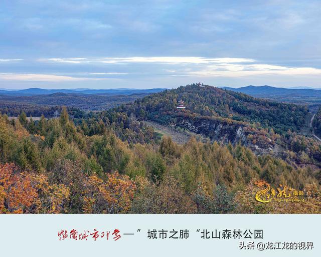 鹤岗北山公园简介图片