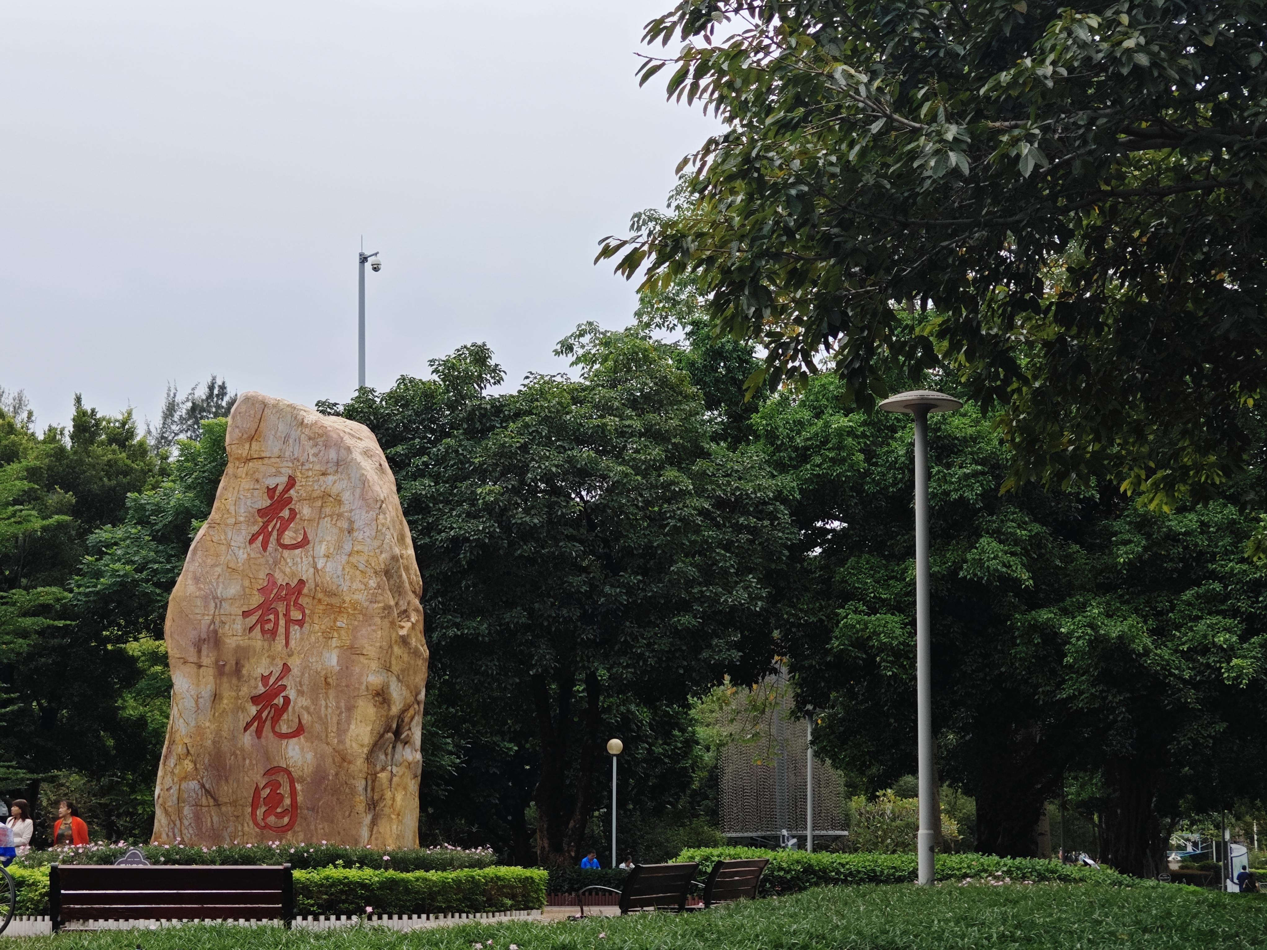 珞珈山樱花植花都,广州新增一处景观打卡地