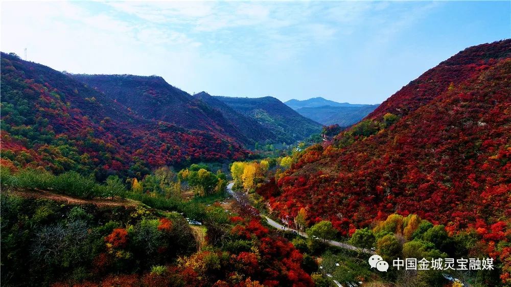 秋染灵宝寺河山,漫山红叶如画卷
