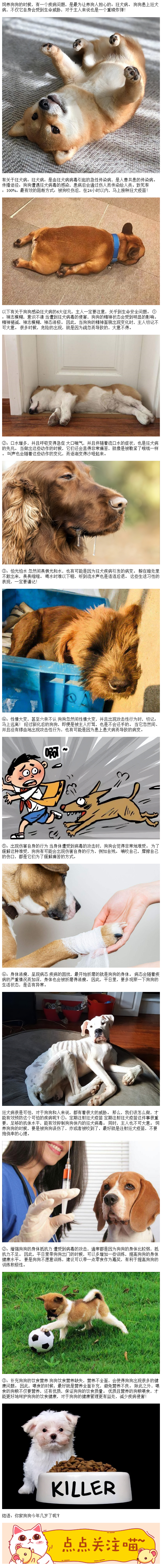 狂犬病的早期症状图片