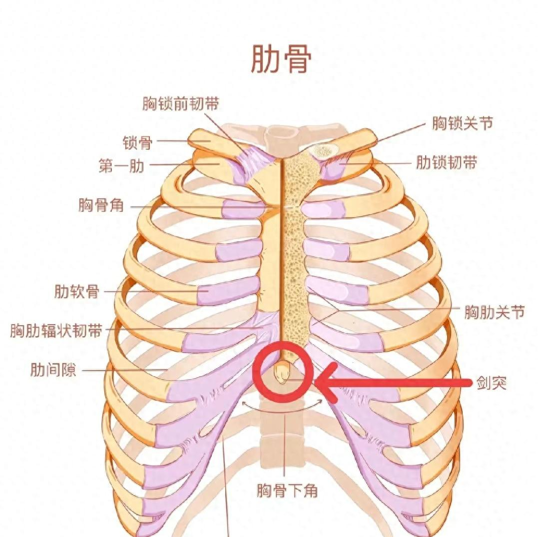 剑突下灼热感消失:中医辨证施治成功案例