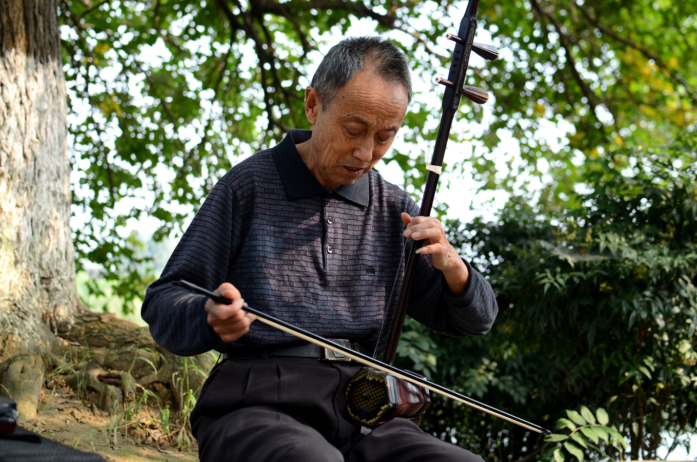 拉二胡的老头,静静地欣赏他的美,静静地看着他老去