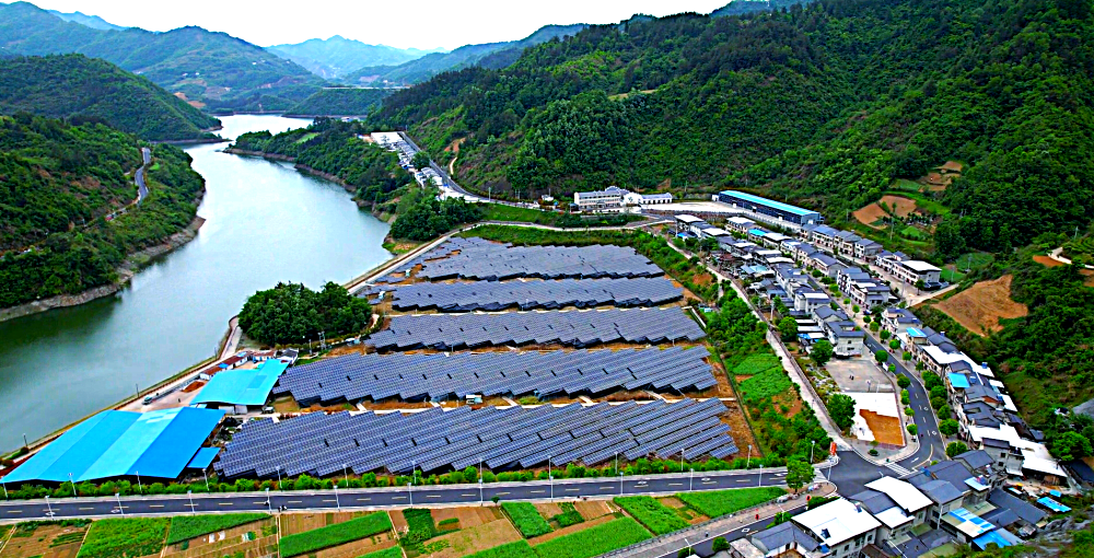 药材种植园