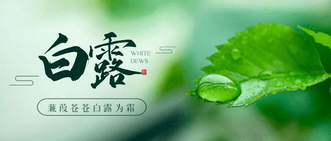 白露丨且以秋水煮春芽