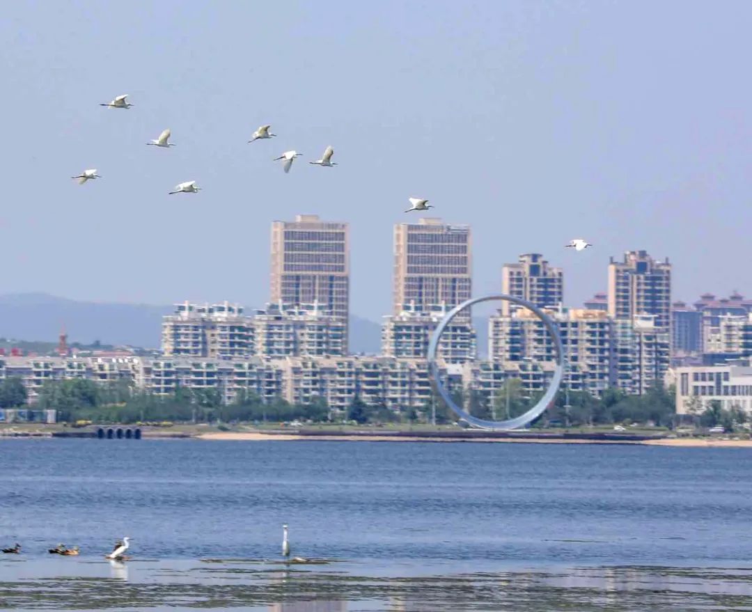 为了可爱的"小精灵",樱花湖体育公园禁止垂钓!