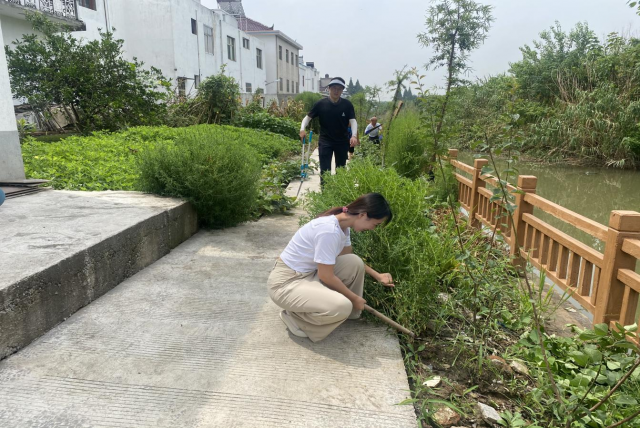 靖江市新桥镇图片