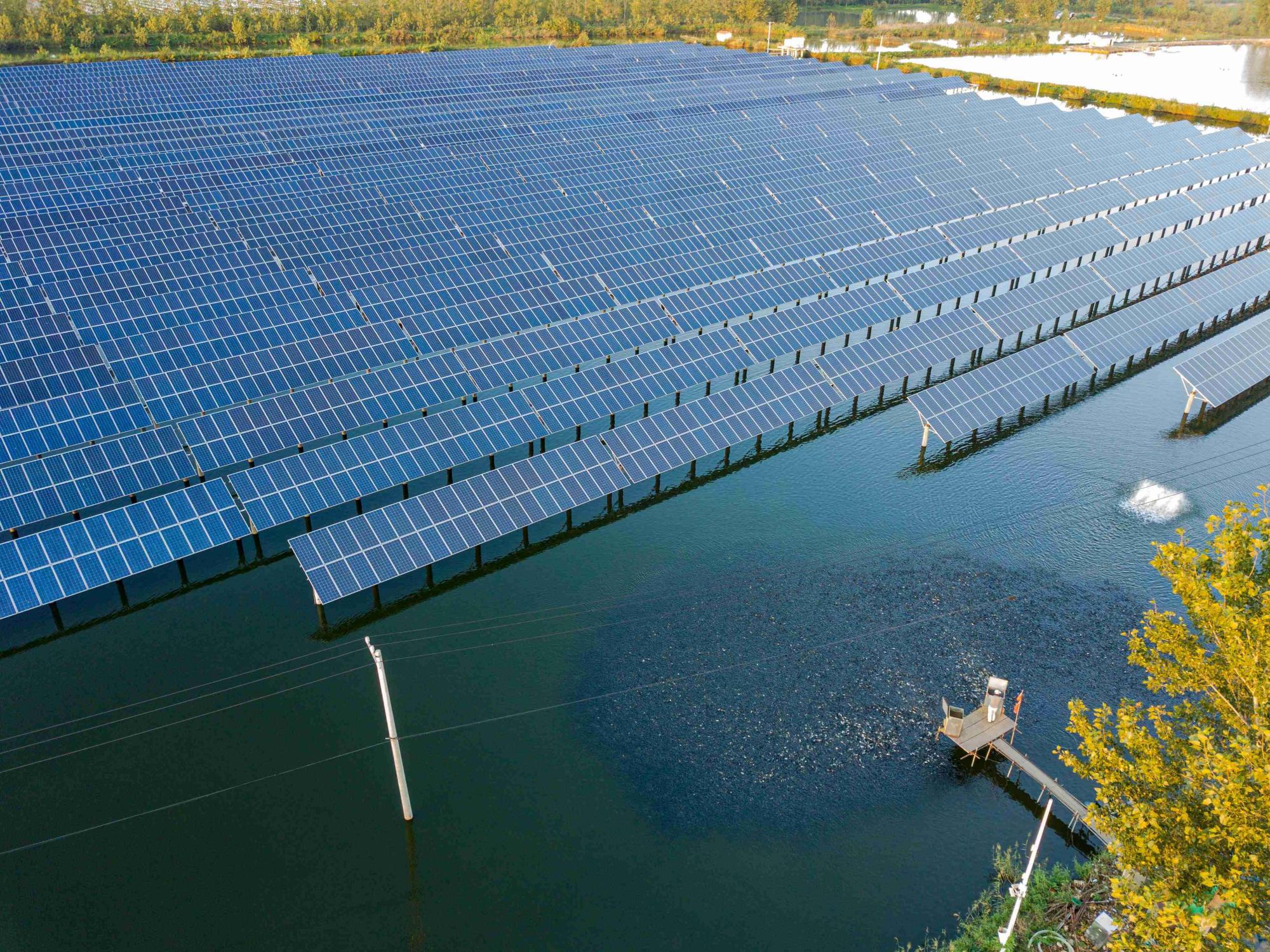 江苏连云港:"渔光互补"光伏发电 绿色能源助力乡村振兴