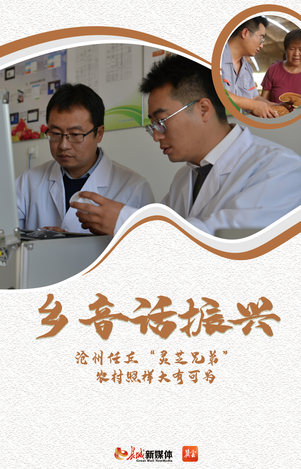 乡音话振兴丨河北任丘"灵芝兄弟":农村照样大有可为