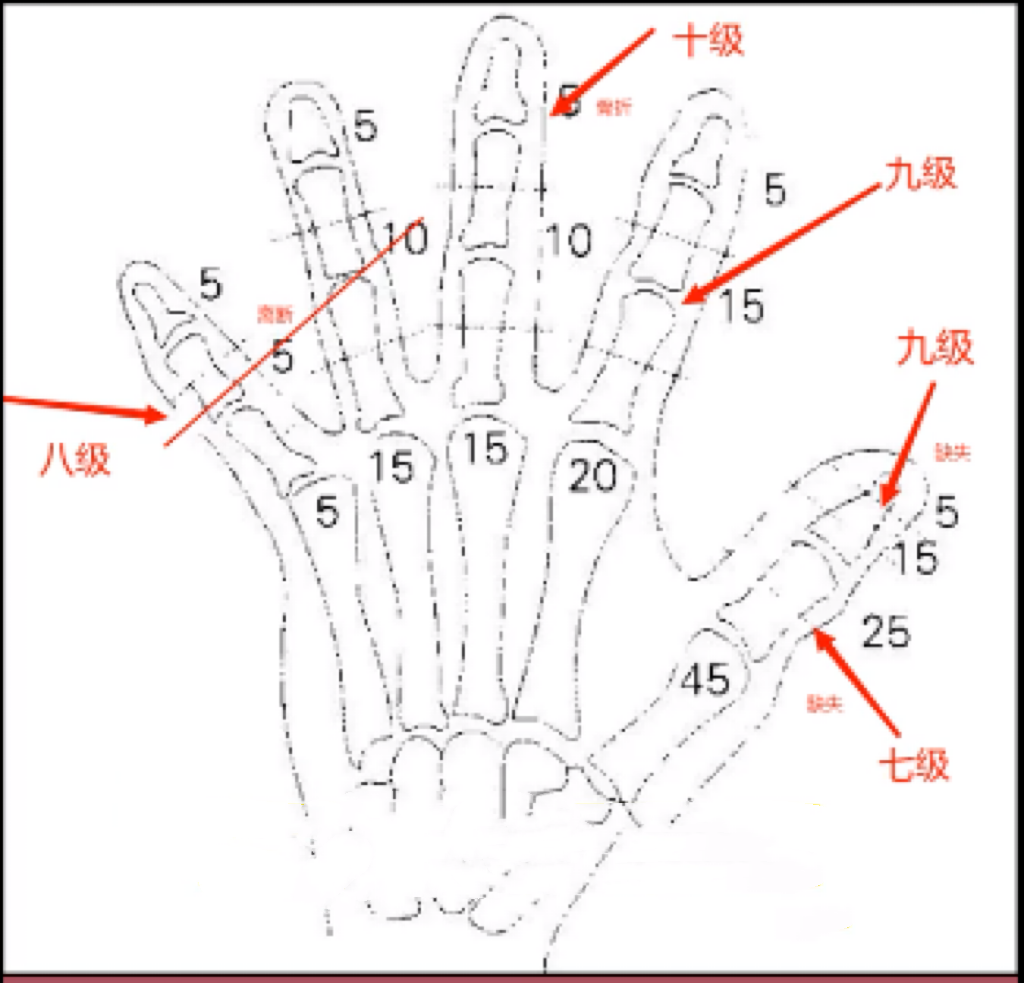 手指身高对照表图片