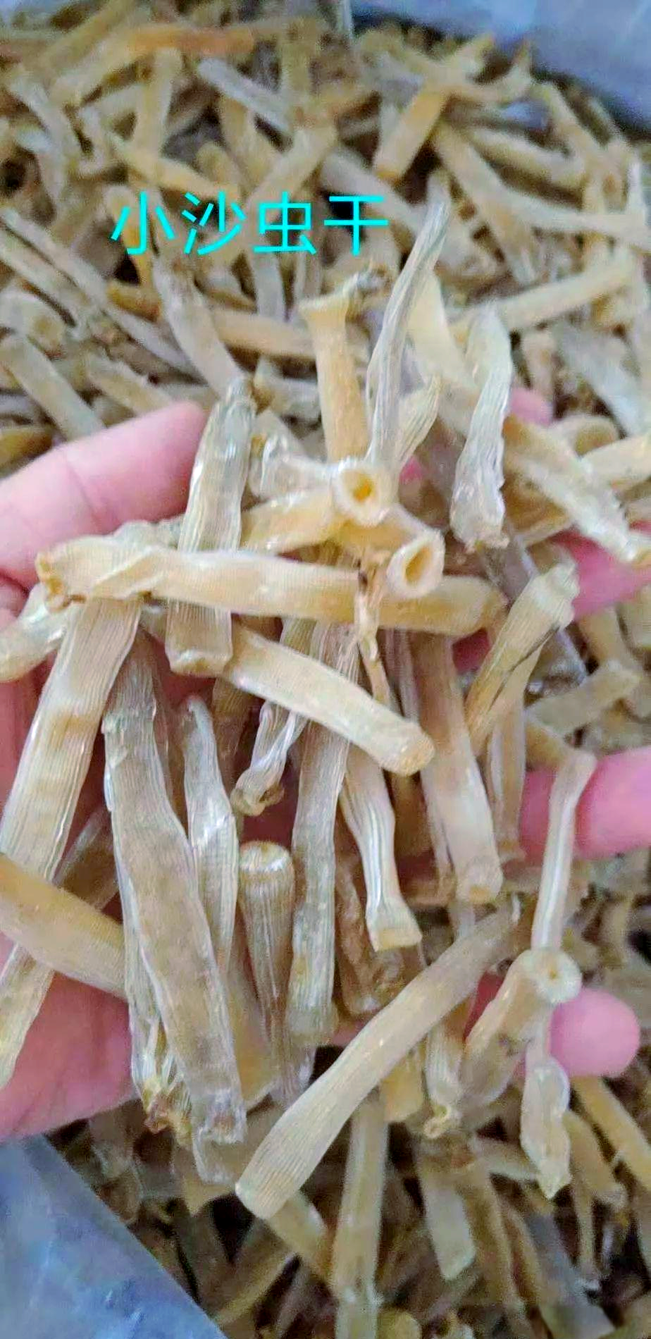 沙虫:来自洁净海域的珍馐美味