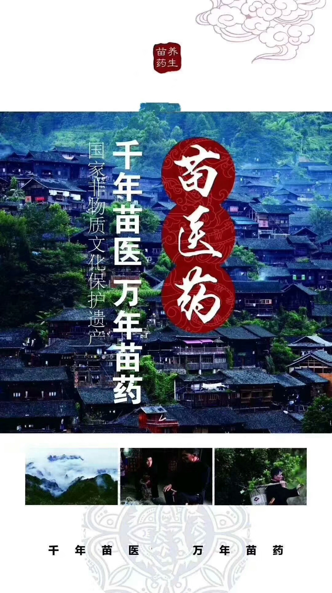 千年苗医万年苗药