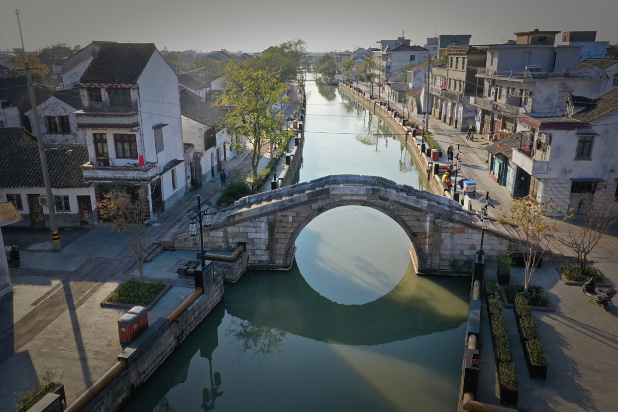 最美银杏落叶黄!流连忘返在浙江嘉善天凝镇 视频作者:章焱磊