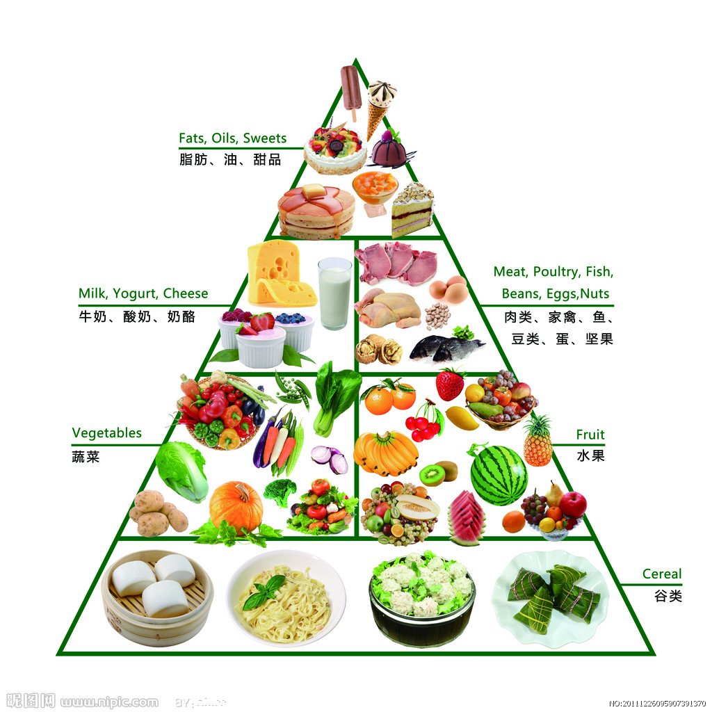 中国人饮食结构金字塔图片