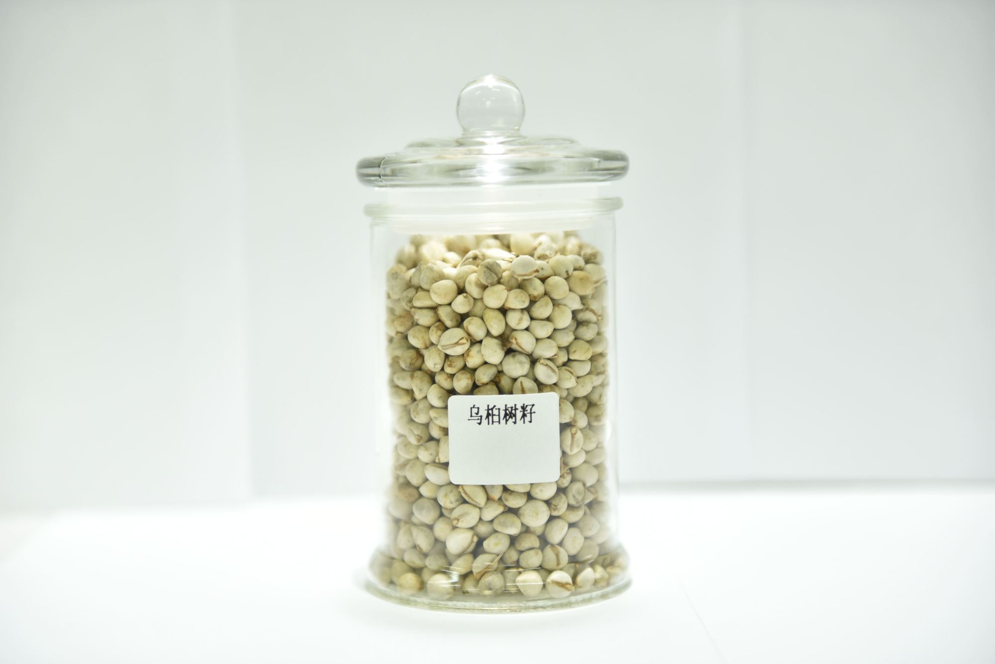 青油,医用乌桕油,药用青油,乌桕树籽油,医用植物基础油的用途