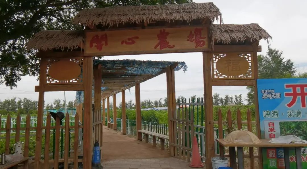 共抗疫情少出门  家门口的"开心农场"你值得拥有
