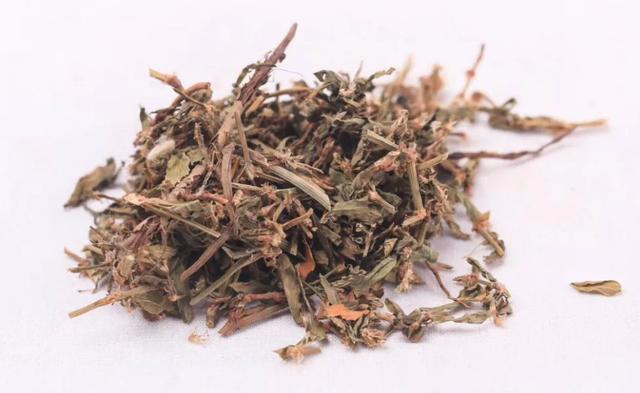 胡博士说中药|利尿通淋,杀虫止痒——聊聊中药萹蓄