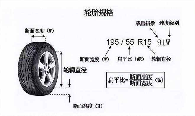 轮胎大小尺寸图片大全图片