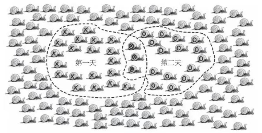 标志重捕法
