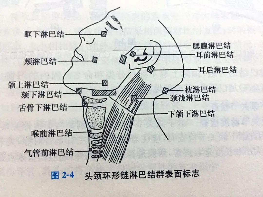 沈腾搞的这些护肤手法