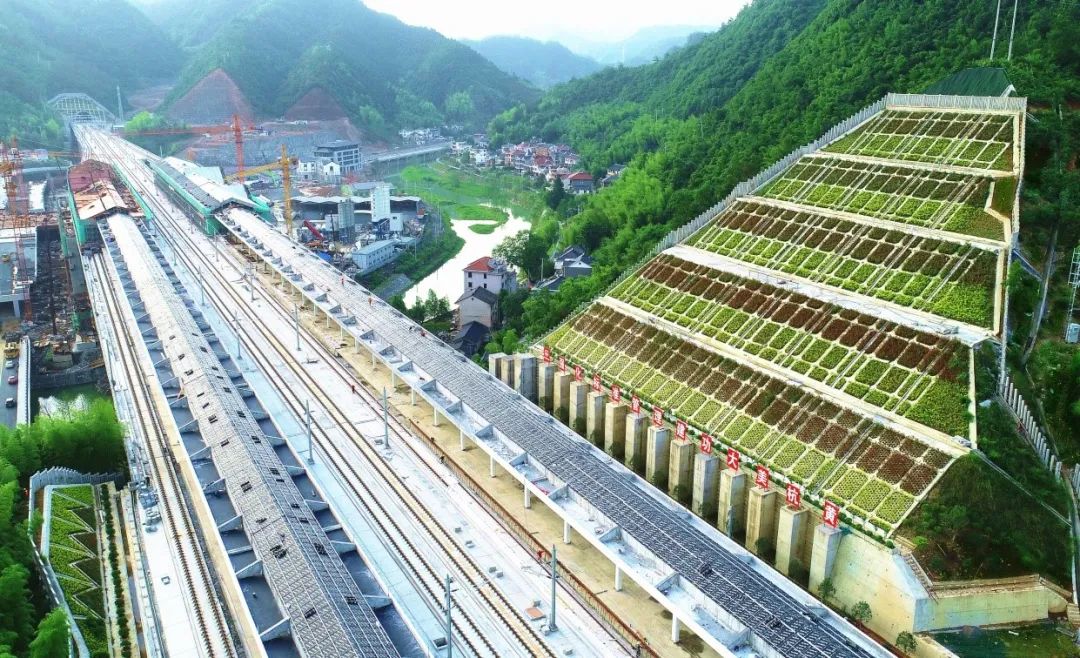 铁四院精致植树大赏.doc