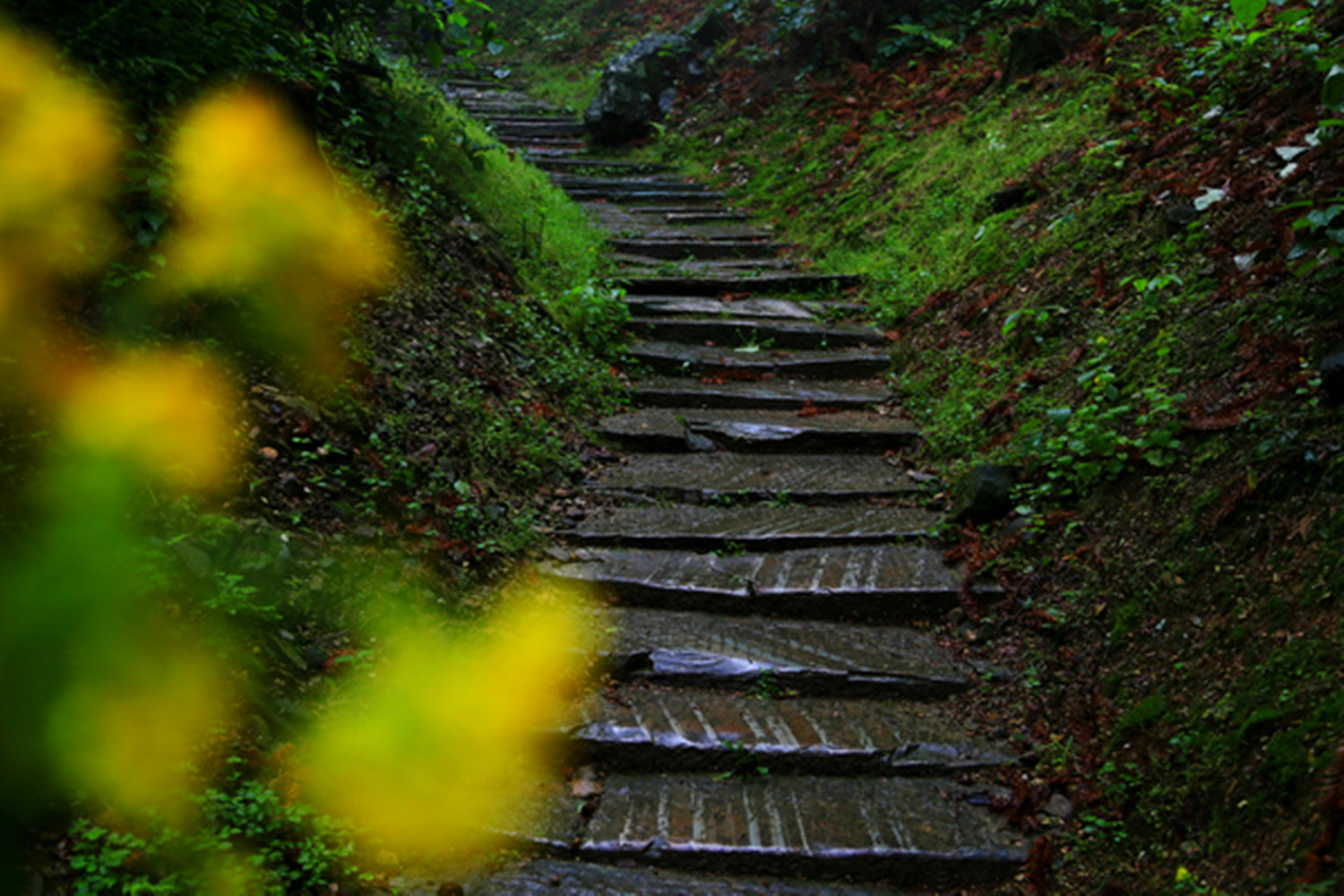 石臺大山村旅遊景點攻略推薦,這裡被稱為