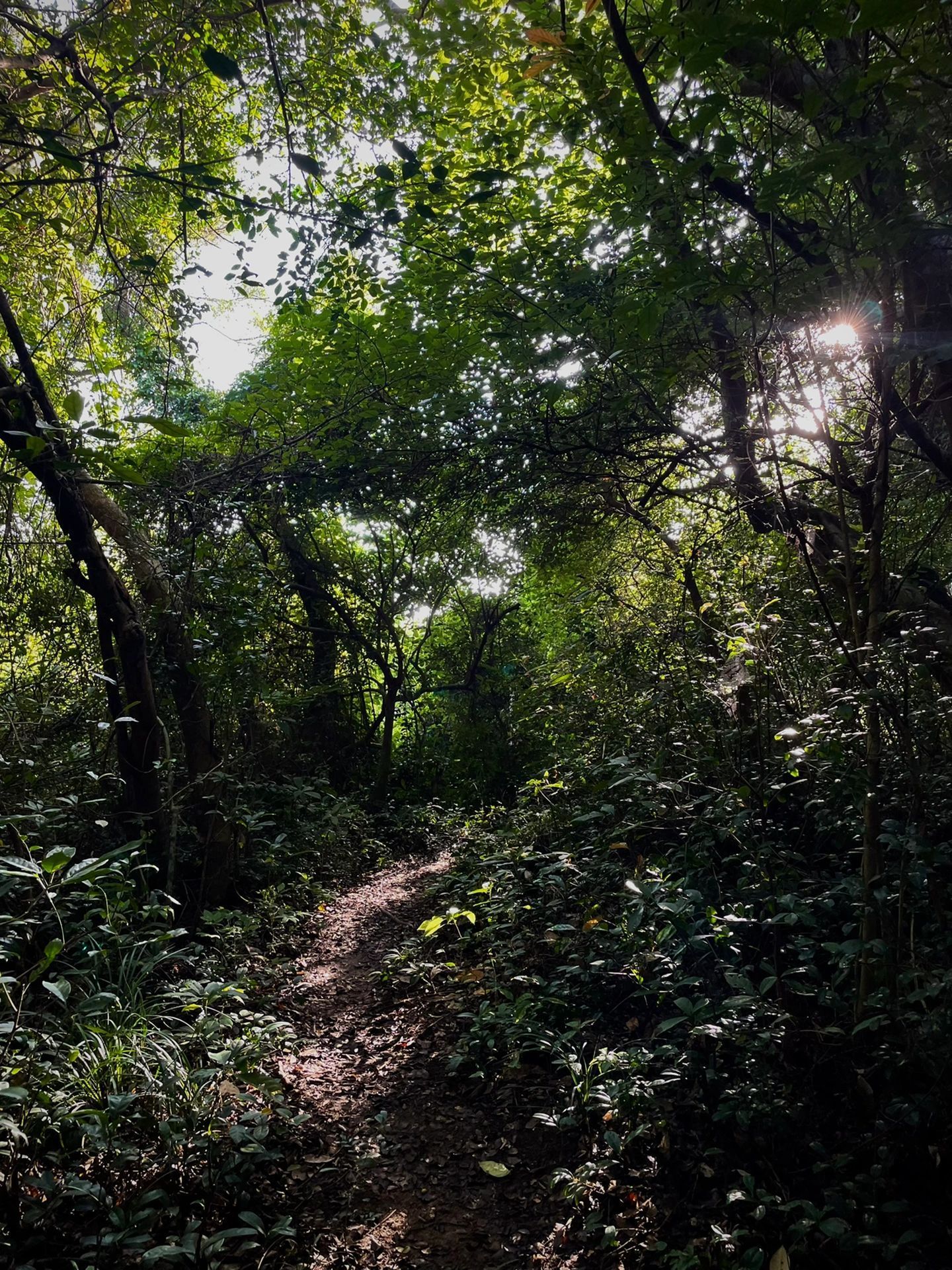 小三门岛攻略|深圳周边最佳小众岛屿