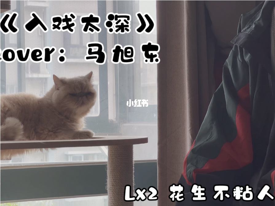 《入戏太深》的歌词