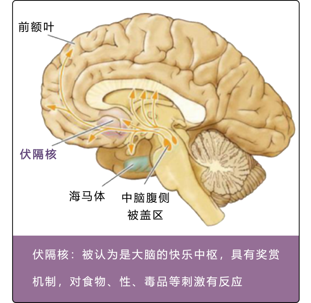 电击疗法图片