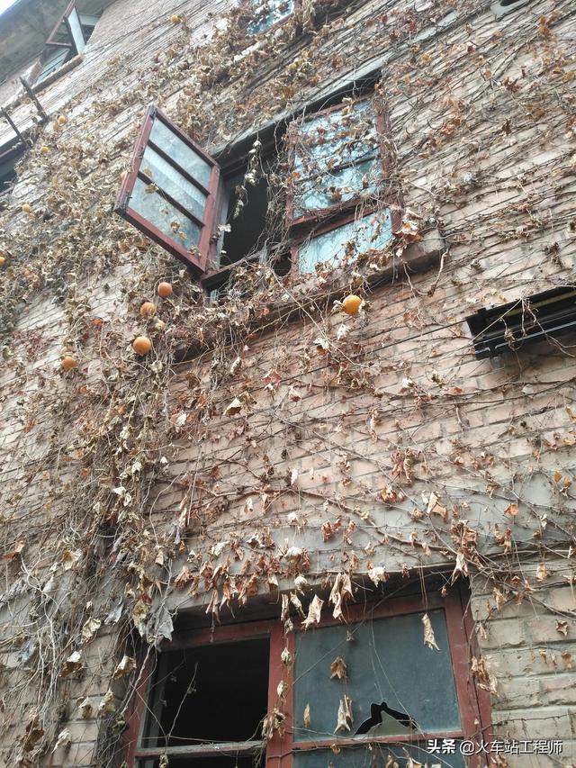 张桥火车站,那个年代的记忆