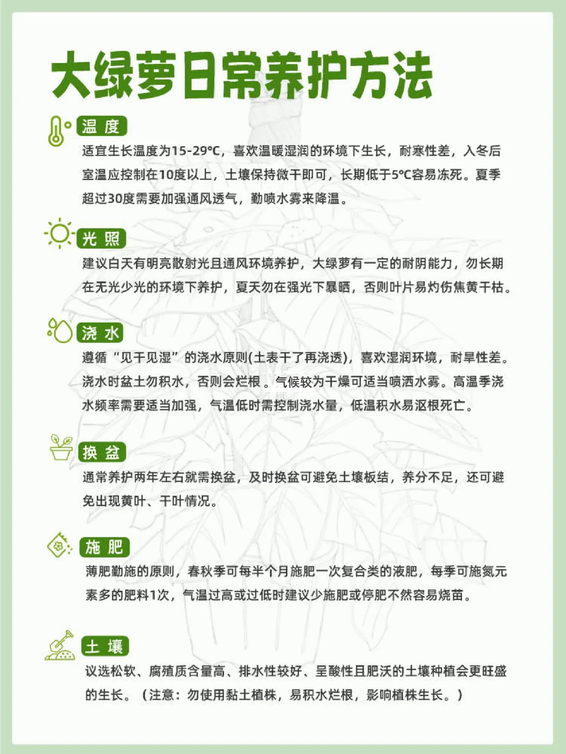 绿萝生长周期记录表图片